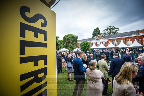 Goffs London Sale 2016-472