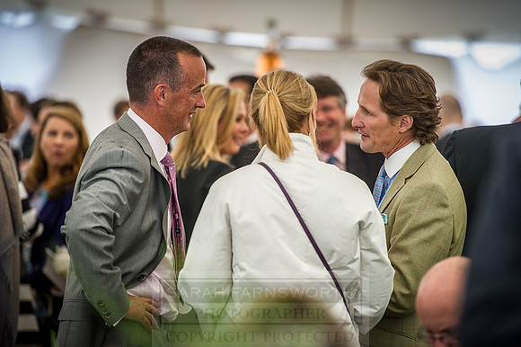 Goffs London Sale 2016-416