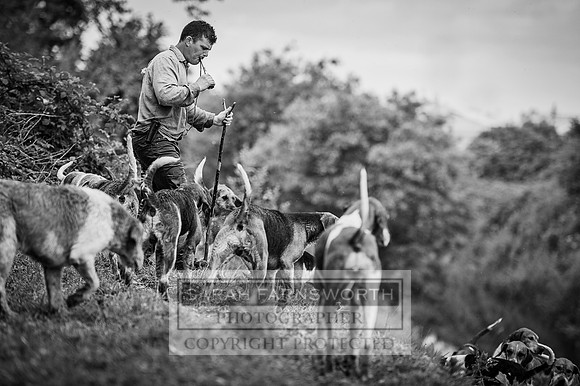 Desmond 060616-67 bw