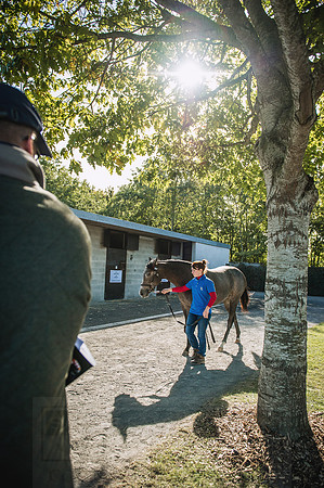Goffs Orby 2015 -374