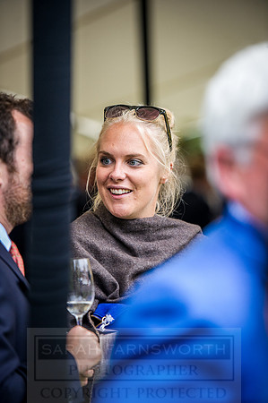 Goffs London Sale 2016-298