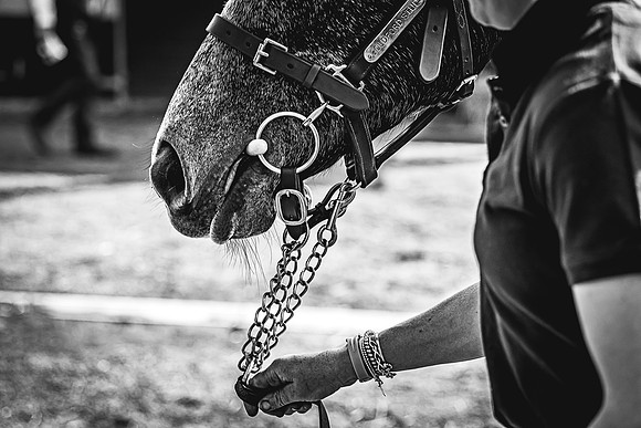 Goffs UK Spring Sale 22 Day 2-9