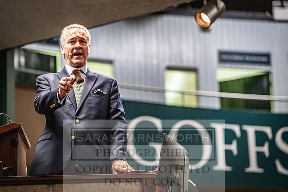Goffs Land Rover Sale 2022-217