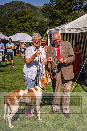 Rydal Hound Show 2022-22