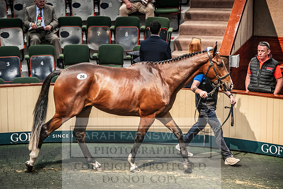 Goffs Land Rover Sale 2022-204