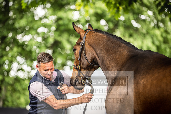 Goffs Land Rover Sale 2022-342