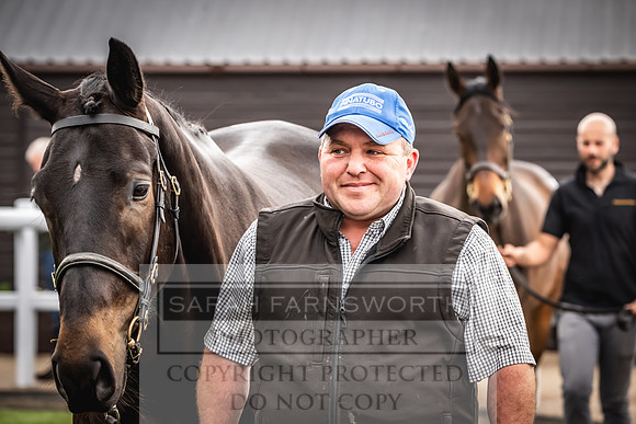 Goffs UK Spring Sale 2024-103
