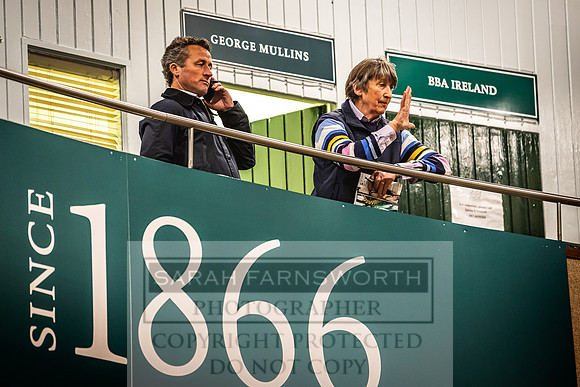 Goffs Land Rover Sale 2022-200