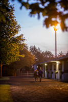 Goffs Orby 2015 -14