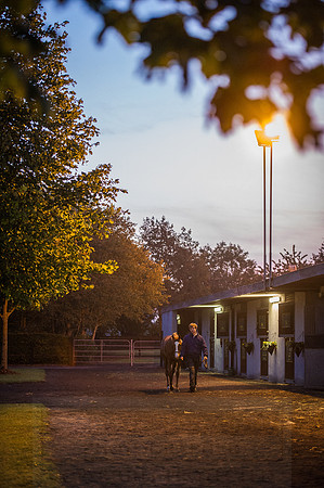 Goffs Orby 2015 -14