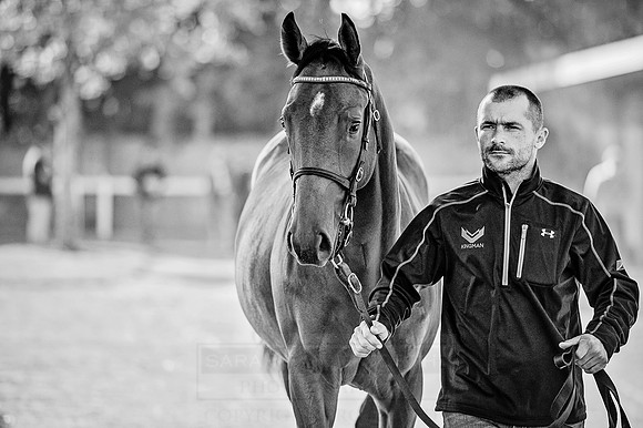 Goffs Orby 2015 -365 bw