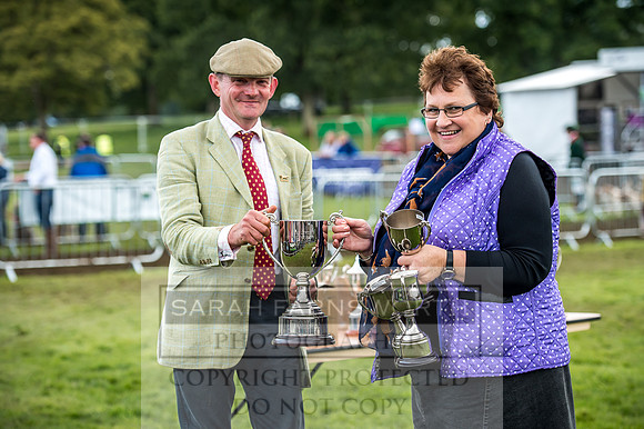 Lowther Hound Show 2017-156