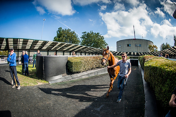 Goffs Orby 2015 -603