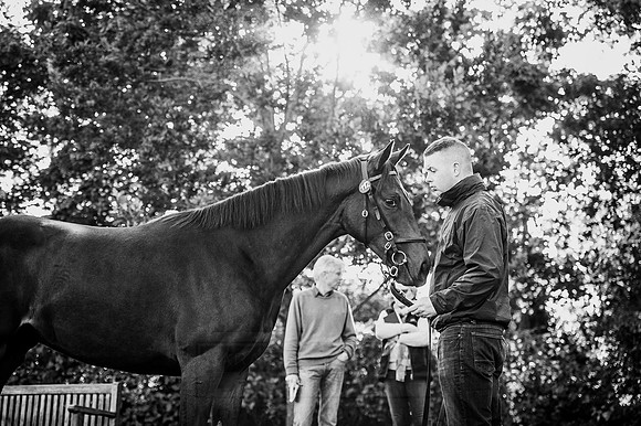 Goffs Orby 2015 -200 bw