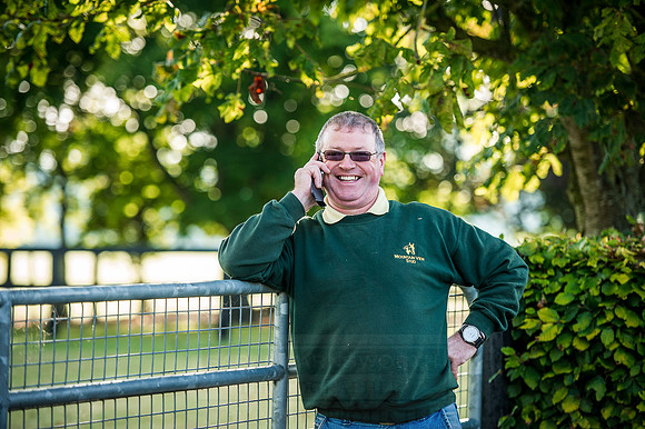 Goffs Orby 2015 -188