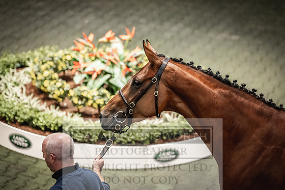 Goffs Land Rover Sale 2022-557