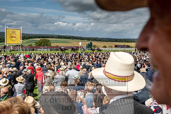 GUK Goodwood Sale 2019-147