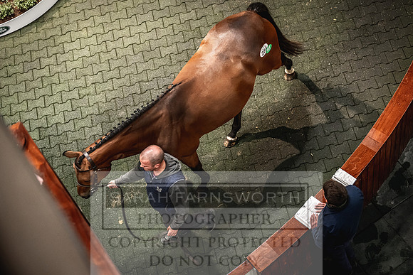Goffs Land Rover Sale 2022-602