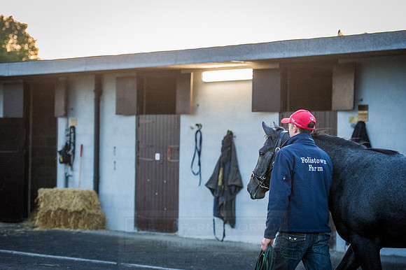 Goffs Orby 2015 -71