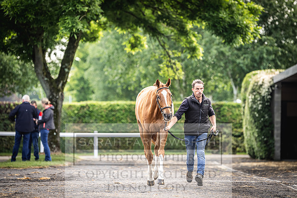 Goffs Land Rover Sale 2022-33