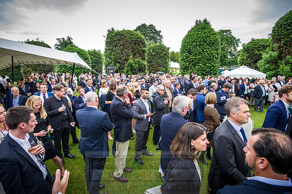 Goffs London Sale 2016-484