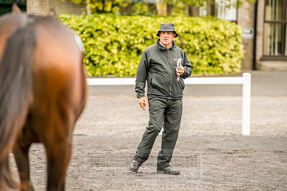 Goffs Orby 2018 Day 1-74