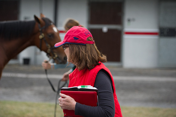 Goffs Orby14 CF5 531