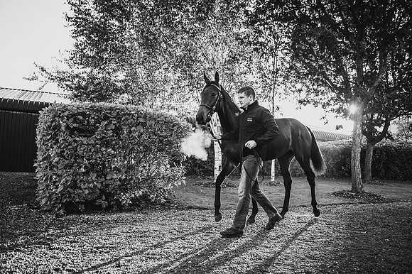 Goffs Orby 2015 -157 bw