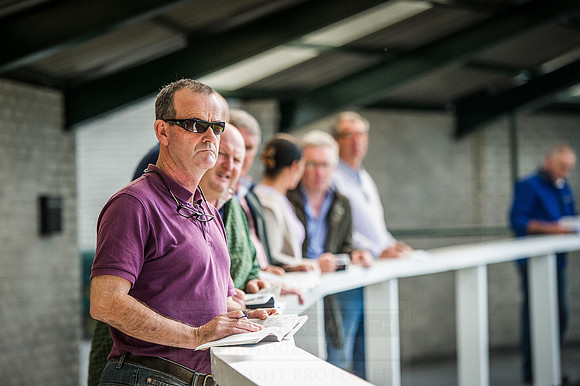 Goffs Orby 2015 -587