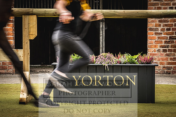 Goffs Yorton Sale 2022-140