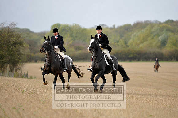 Brocklesby 021113 CF3 785