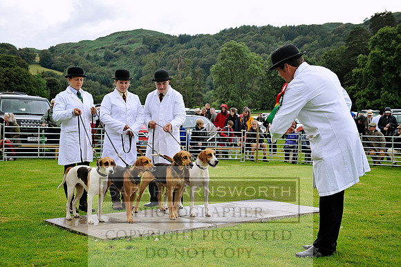 Rydal 2014 CF1 162