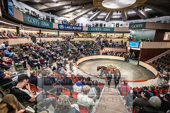 Goffs Land Rover Sale 2022-286