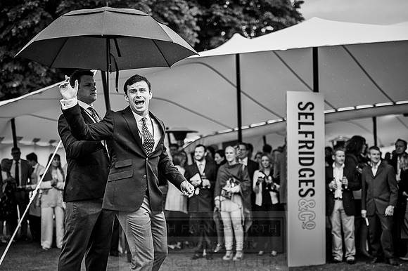 Goffs London Sale 2016-244