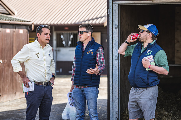 Goffs UK Spring Sale 22 Day 2-21