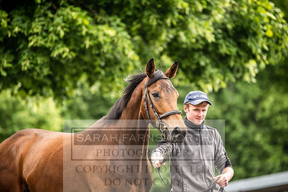 Goffs Land Rover Sale 2022-394