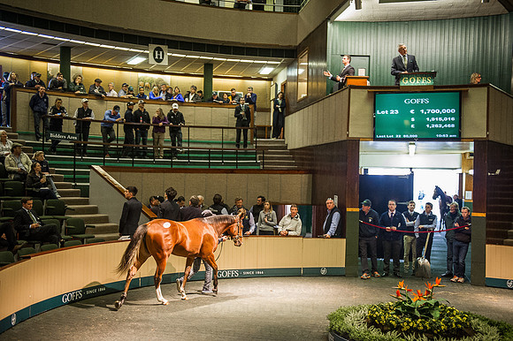 Goffs Orby 2015 -249