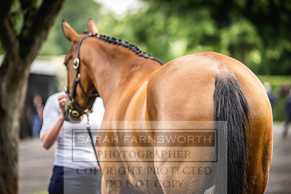 Goffs Land Rover Sale 2022-48