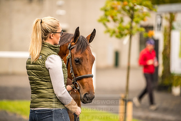 Goffs Orby 2018 Day 1-35