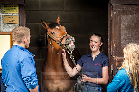 Goffs Orby 2018 Day 1-328