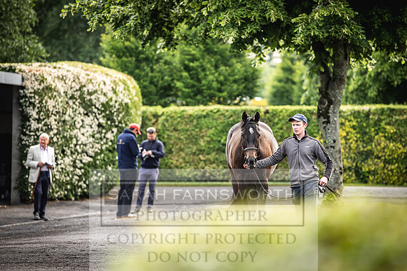 Goffs Land Rover Sale 2022-54
