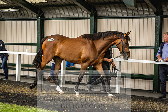 Goffs Land Rover Sale 2022-640