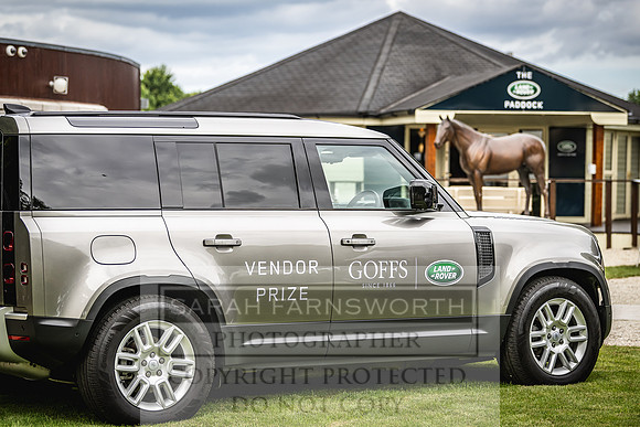 Goffs Land Rover Sale 2022-407
