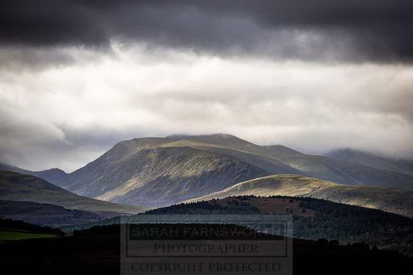 Cairngorms in summer-2