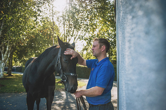 Goffs Orby 2015 -390