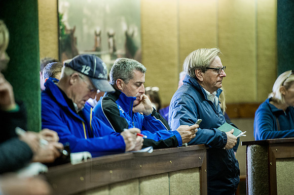 Goffs Orby 2015 -557
