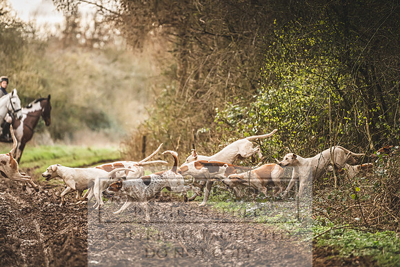 Thurlow at Heythrop 130319-639