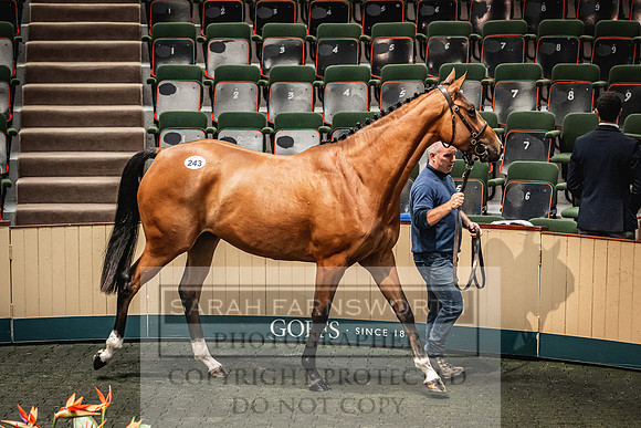 Goffs Land Rover Sale 2022-562