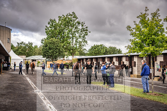 Goffs Land Rover Sale 2022-554