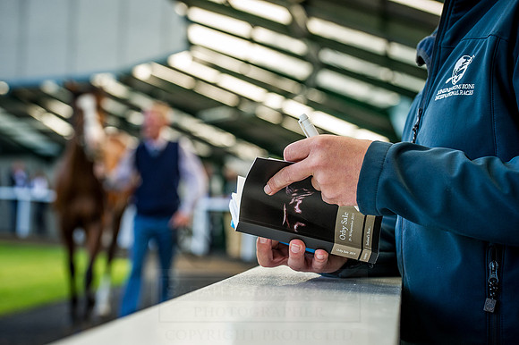 Goffs Orby 2015 -317